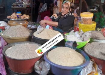 Cherté des prix : le cri de cœur des femmes du marché Cosa