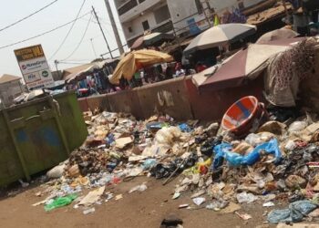 La Guinée carrefour des déchets: une démission des autorités ou un manque de civisme ?