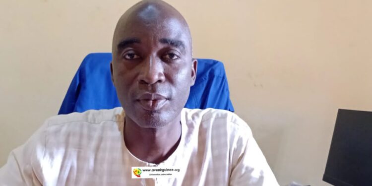 Récurrence des incendies en Guinée : On en parle avec le spécialiste Ousmane Salami