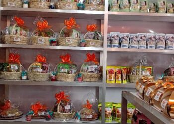 Agro-business : Diak Fruits ouvre ses portes à Nongo