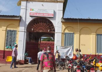 Pr Mamadou Dadhi Baldé : Une figure respectée du système de santé guinéen sous l’assaut de calomnies