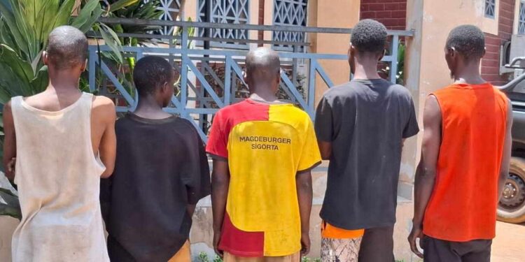 Accusés de semer la terreur à Dubréka, des bandits arrêtés par la BAC 12