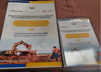 Rio Tinto et Simfer participent à un atelier national sur la santé, la sécurité et l&rsquo;environnement en Guinée
