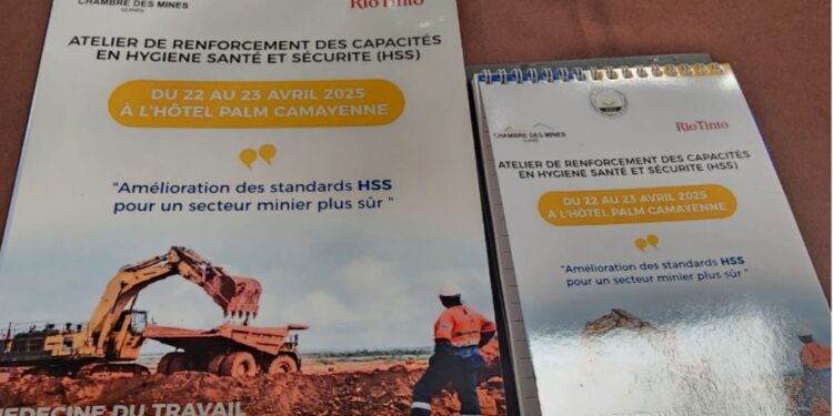 Rio Tinto et Simfer participent à un atelier national sur la santé, la sécurité et l&rsquo;environnement en Guinée
