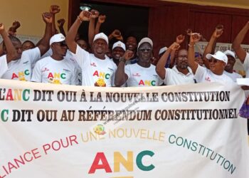 Référendum constitutionnel : l&rsquo;ANC appelle à un vote massif pour le Oui