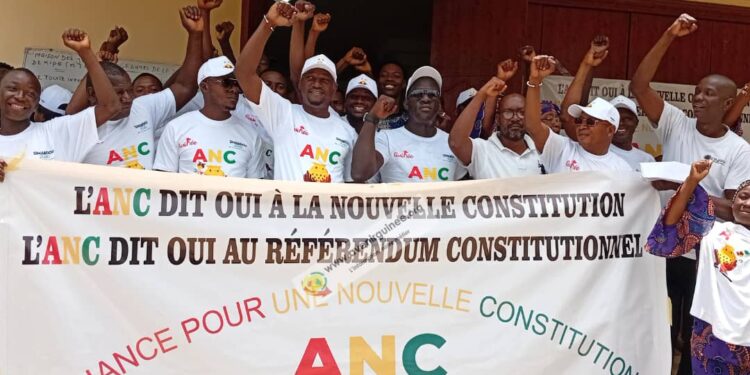 Référendum constitutionnel : l&rsquo;ANC appelle à un vote massif pour le Oui