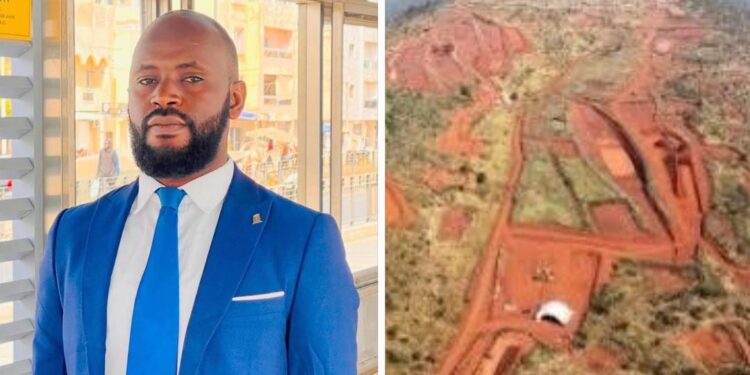 Le Projet SIMANDOU : Une opportunité unique pour un véritable décollage économique de la Guinée ( Par Alpha Bayo)