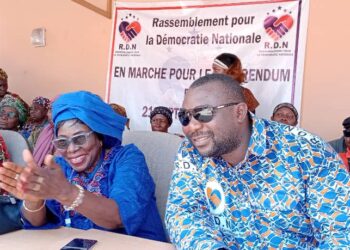 AG du parti RDN : le référendum et la vulgarisation de la nouvelle Constitution au cœur des échanges