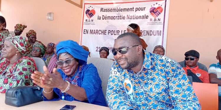 AG du parti RDN : le référendum et la vulgarisation de la nouvelle Constitution au cœur des échanges