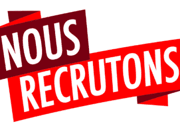 Annonce : Avenirguinee.org recrute un(e) Responsable Commercial(e)