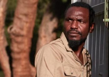 Zimbabwe: un journaliste libéré sous caution après deux mois de détention