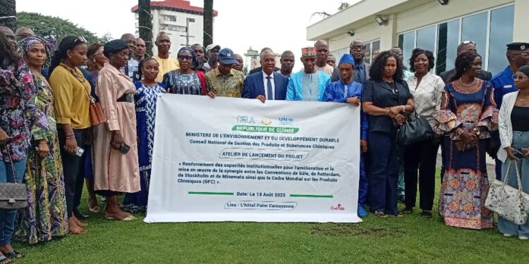 Protection de l’environnement : la Guinée s’engage vers une gestion intégrée des produits chimiques