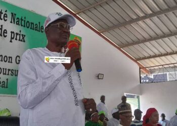AG du PUP : Fodé Bangoura met en garde contre l&rsquo;utilisation non autorisée du logo du parti