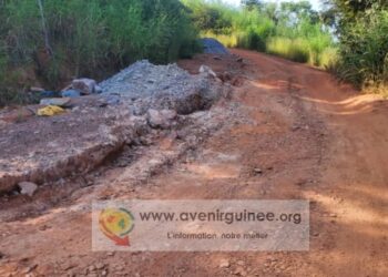Basse-Guinée : le remplaçant par intérim d’Elhadj Mamoudou appelle à tourner la page : « Les fautes commises jusque-là… »