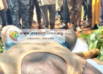 Mamou : découverte macabre d’un corps en état de putréfaction sur les rives du fleuve Bafing