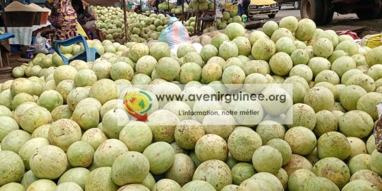 Insalubrité à Tanènè : quand les conditions de vente menacent la santé des consommateurs