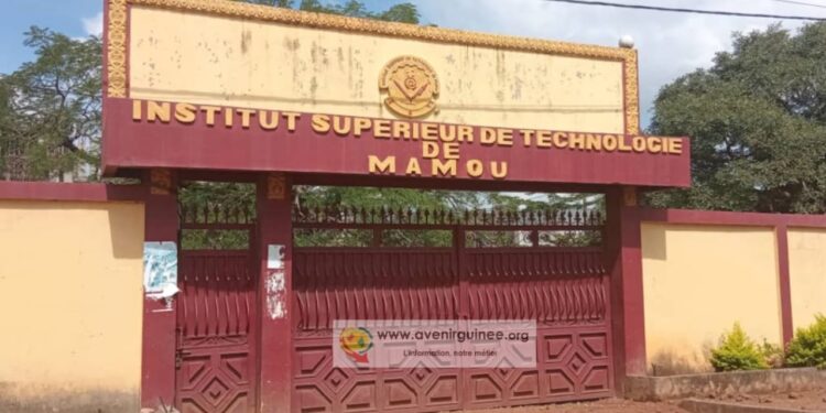 Candidature du GMD : « C’est sa victoire écrasante que nous attendons » ( Ousmane Dady)