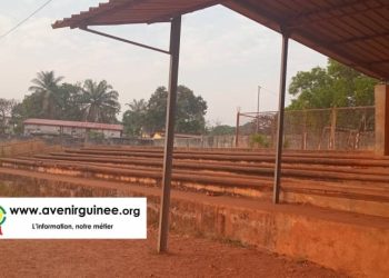 Conakry : des journalistes outillés sur la lutte contre la fraude dans le secteur de l’électricité