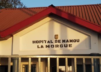 Tragédie sur la Nationale 1 : Un apprenti chauffeur perd la vie dans un accident de à Linsan