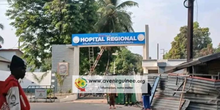 Kindia : un chauffeur arrêté avec 498 kg de chanvre indien « j’ai été piégé »