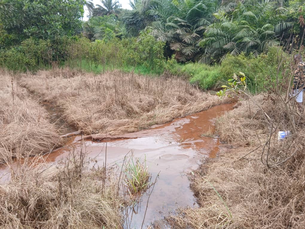 De graves impacts sur l'environnement 