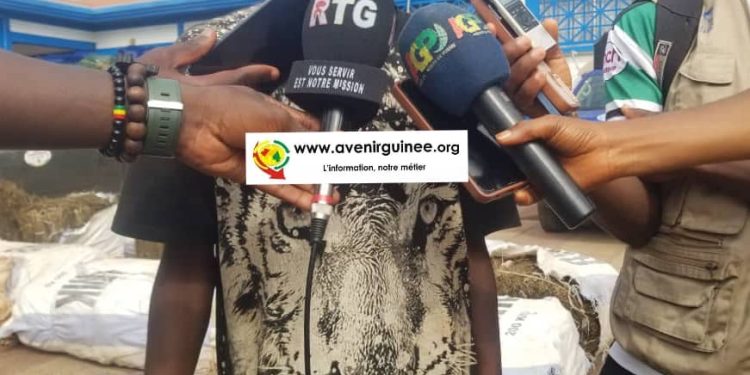 Kindia :  un chauffeur arrêté avec 498 kg de chanvre indien « j’ai été piégé »