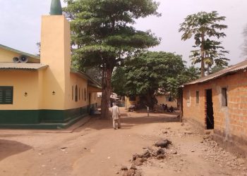 Kindia: tension entre agriculteurs et éleveurs à Tanènè Kaligoro