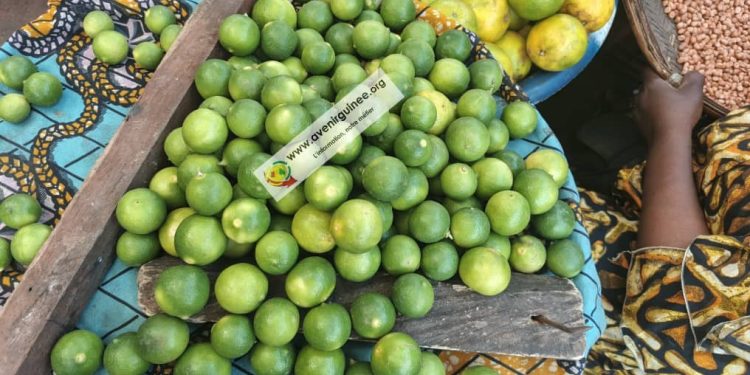 Matam : le Pds Badra Kone  recadre les conseils de quartier et appelle au strict respect de la loi