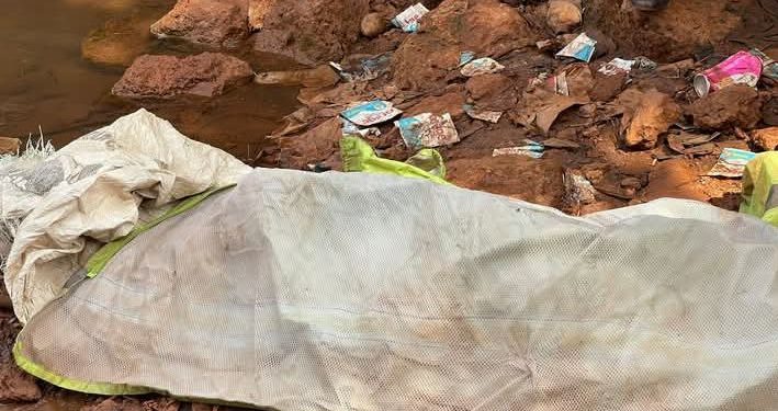 Un nouveau drame frappe Sangarédi : un élève de 8 ans perd la vie dans la rivière Thiapikouré