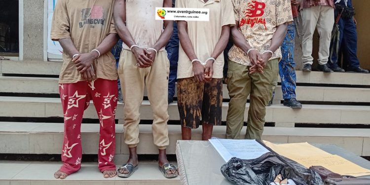 Lutte contre le grand banditisme : quatre présumés malfaiteurs présentés par les Services Spéciaux