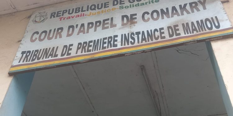 TPI de Mamou : Verdicts en série et acquittement lors des audiences criminelles