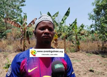 Kindia : Le cri de détresse d’un entrepreneur agricole après l&rsquo;incendie criminel de son exploitation