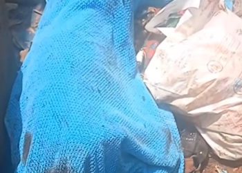 Tombolia : comment la jeune fille Saliou Djan a été sauvagement tuée ?