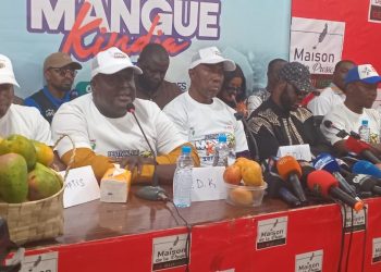 Kindia : Les organisateurs annoncent les couleurs de la 4ème édition du Festival de la Mangue