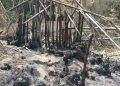 Kindia : Un incendie ravage une partie du site touristique du Voile de la Mariée