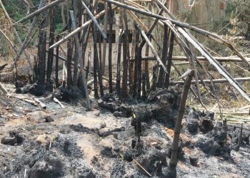 Kindia : Un incendie ravage une partie du site touristique du Voile de la Mariée