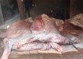 Labé : trois personnes écrouées après la saisie de viande impropre à la consommation