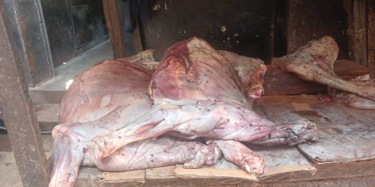 Labé : trois personnes écrouées après la saisie de viande impropre à la consommation