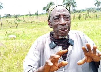 Hafia FC : Mohamed Yoy Camara, fils de KPC, nommé vice-président !