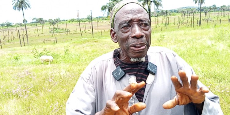 Hafia FC : Mohamed Yoy Camara, fils de KPC, nommé vice-président !