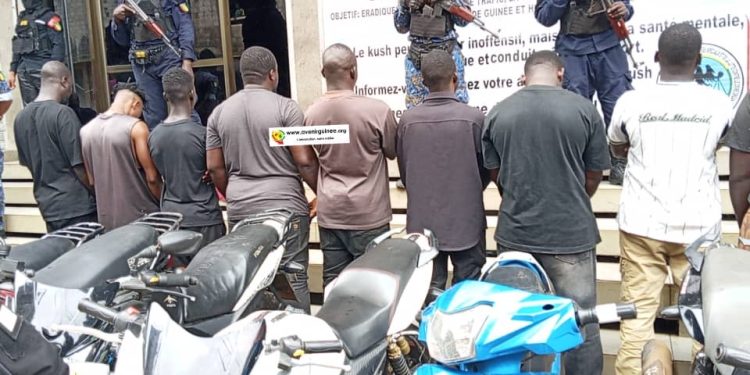 Lutte contre la criminalité : Un réseau de voleurs et trafiquants de motos démantelé à Mafanco