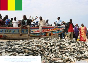 Secteur maritime en Guinée : Un nouveau décret présidentiel fixe la classification des activités de pêche