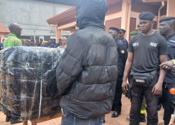 Kindia : Plus de 150 kg de chanvre indien saisis au barrage de Kabeleya, un suspect arrêté !