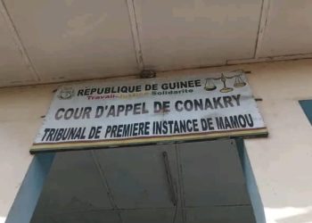 Drame de Diarabaka : le parquet requiert 7 ans de prison contre le chauffeur