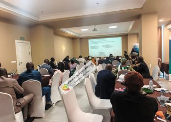 Protection des océans : l’UICN et ses partenaires outillent les parlementaires guinéens sur le traité BBNJ, à Conakry