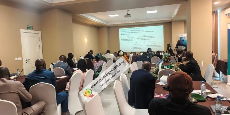 Protection des océans : l’UICN et ses partenaires outillent les parlementaires guinéens sur le traité BBNJ, à Conakry