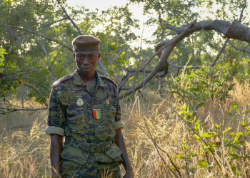 Guinée : Un nouveau statut pour les conservateurs de la nature, le droit de grève désormais interdit