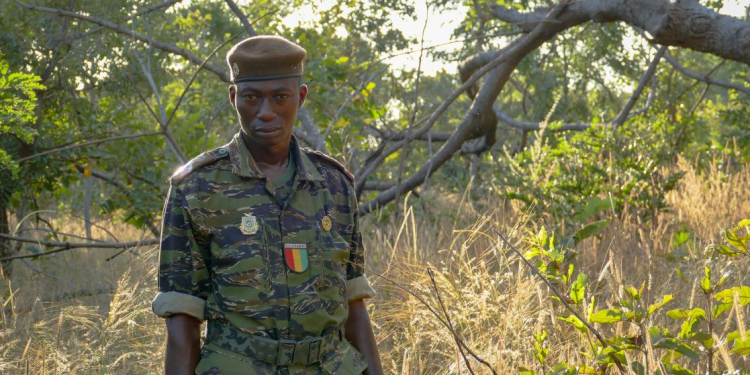 Guinée : Un nouveau statut pour les conservateurs de la nature, le droit de grève désormais interdit